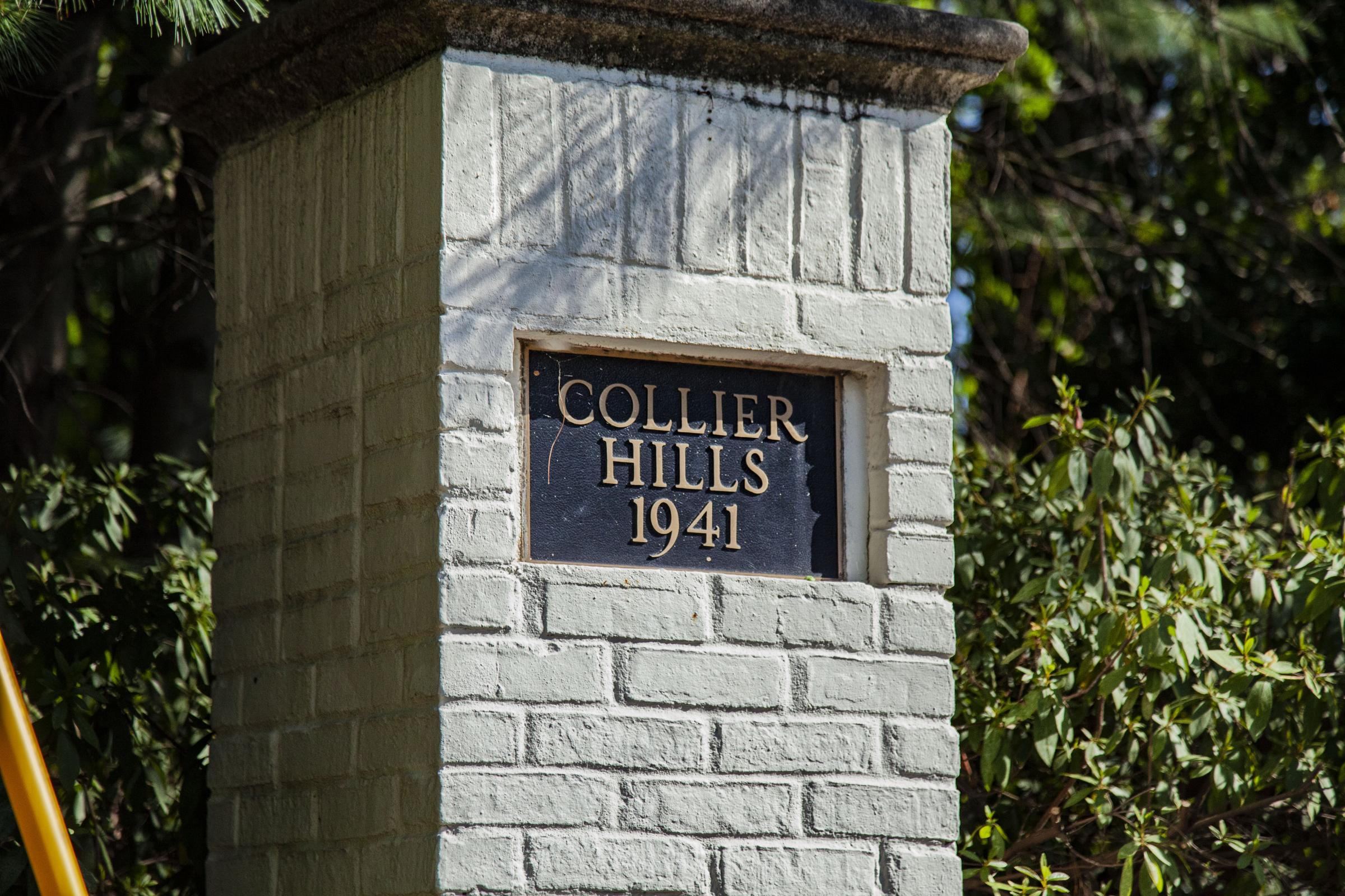 Collier-Hills-1.jpg